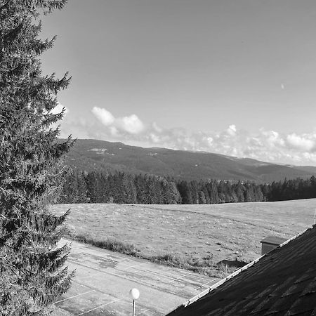 Apartamento Au P'Tit Nid Douillet De Lea Muhlbach-sur-Munster Exterior foto