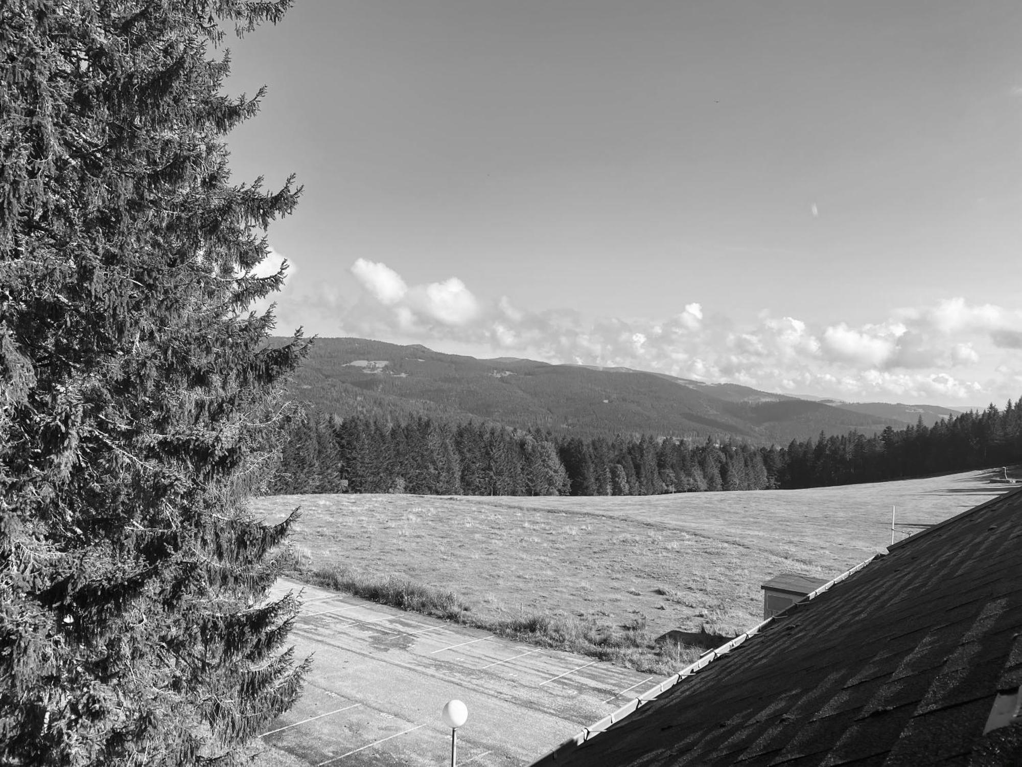 Apartamento Au P'Tit Nid Douillet De Lea Muhlbach-sur-Munster Exterior foto