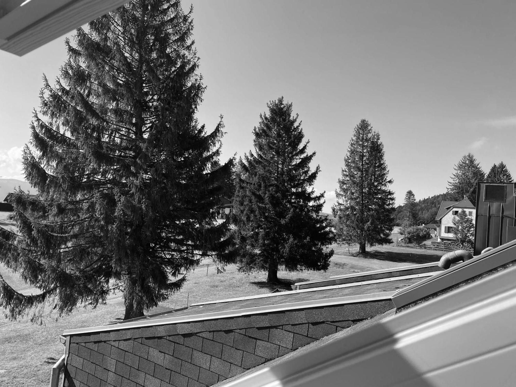 Apartamento Au P'Tit Nid Douillet De Lea Muhlbach-sur-Munster Exterior foto